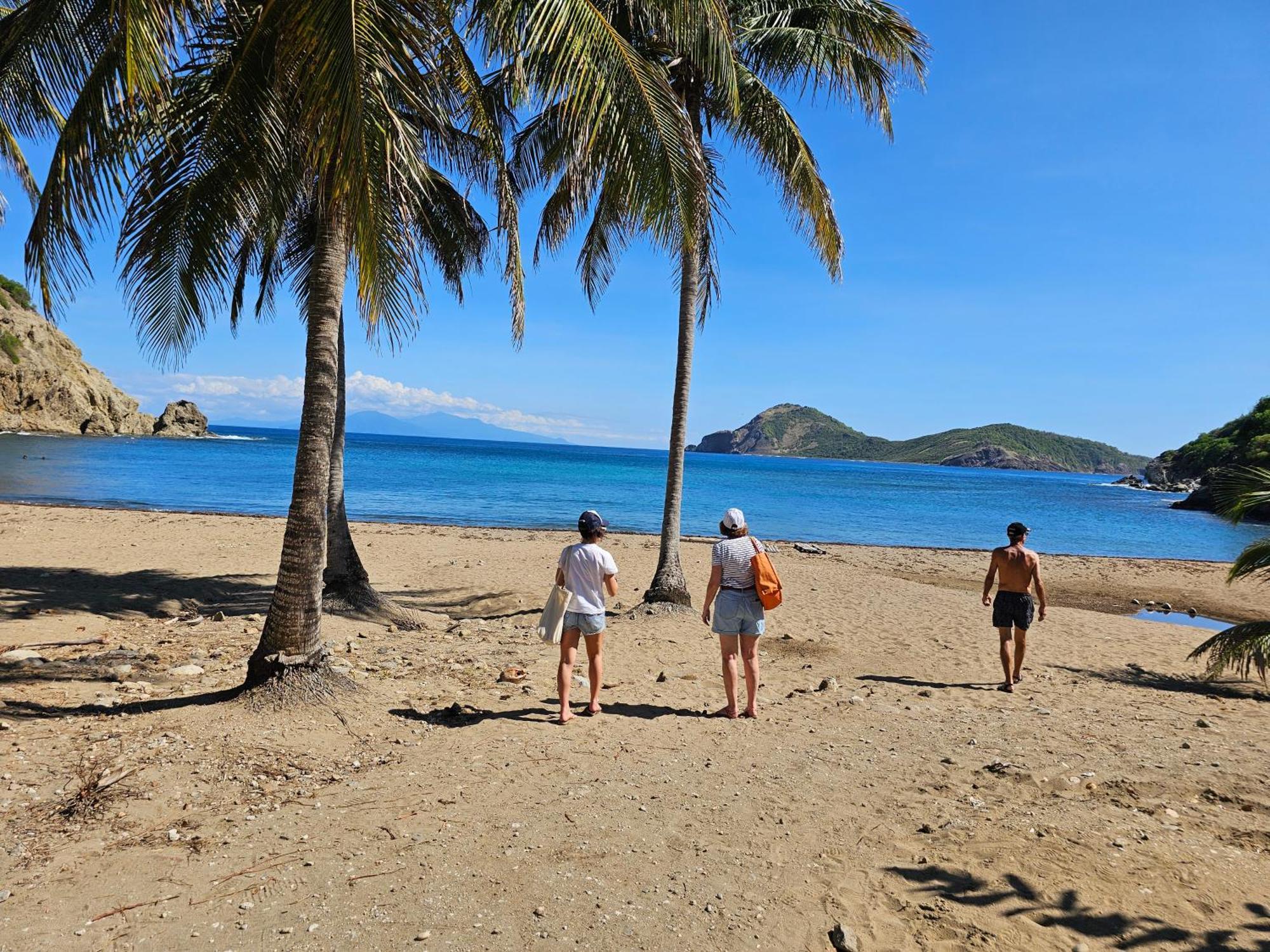 Villa Celyote - Haut De Villa, Vue Mer, A 150M De La Plage Anse Figuier Terre-De-Haut Eksteriør bilde
